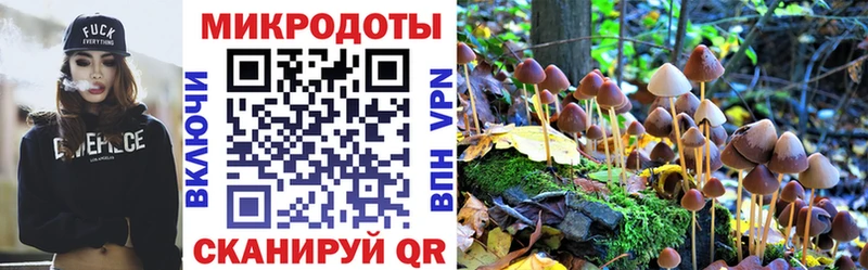 Псилоцибиновые грибы Magic Shrooms  hydra ссылка  площадка формула  купить   Нижние Серги 